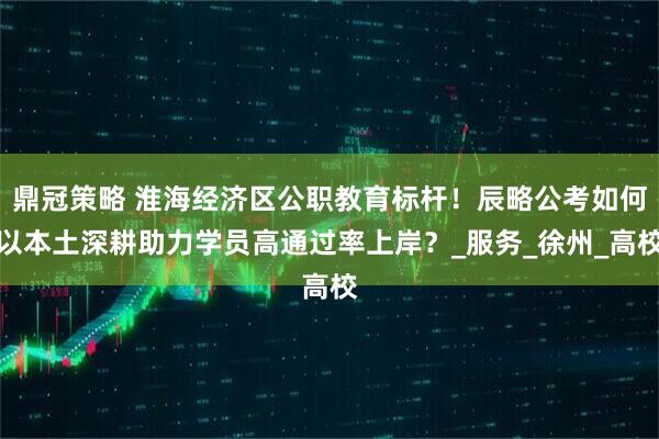 鼎冠策略 淮海经济区公职教育标杆！辰略公考如何以本土深耕助力学员高通过率上岸？_服务_徐州_高校